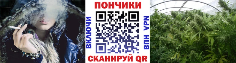 Как найти наркотики Сурск Cocaine  Меф мяу мяу  Гашиш 