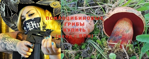 MESCALINE Аркадак