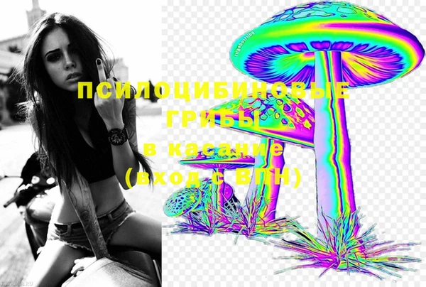 MESCALINE Аркадак