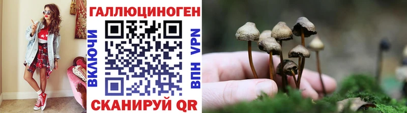 как найти   Сурск  Псилоцибиновые грибы мицелий 